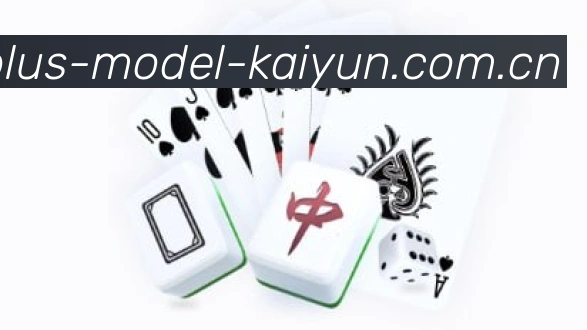 未来规划